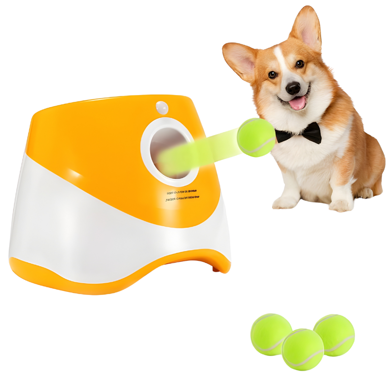 Best Automatic Dog Ball Launcher