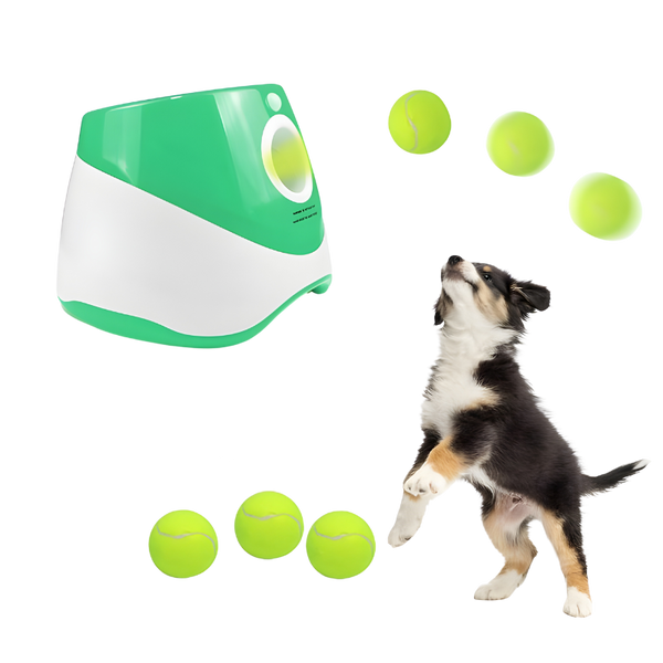 Auto tennis ball launcher for dogs best sale