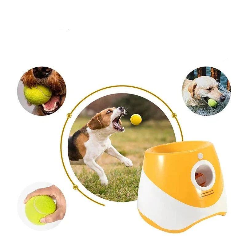 Best automatic dog ball launcher uk best sale