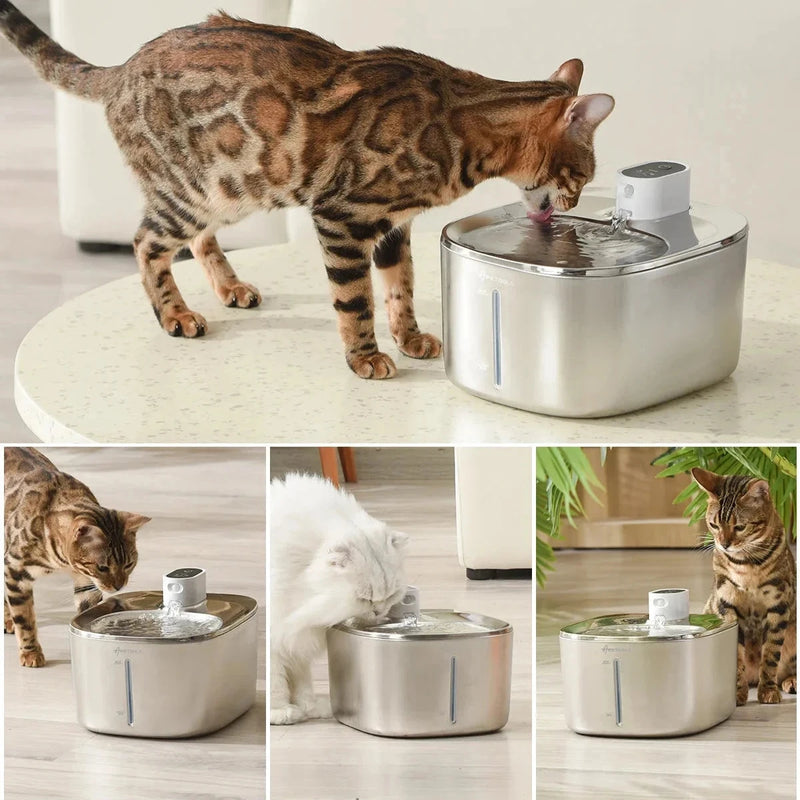 Pet water automatic - Stainless Steel