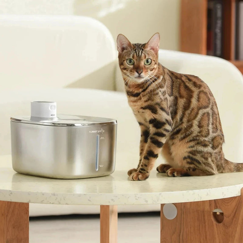 Pet water automatic - Stainless Steel